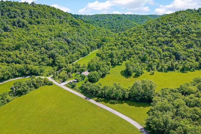 3975 Dry Creek Rd, Dowelltown, TN 37059 - bird's eye view of a heavily wooded area