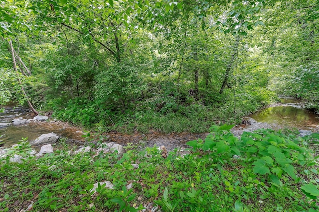 3975 Dry Creek Rd, Dowelltown, TN 37059 - view of tree filled area