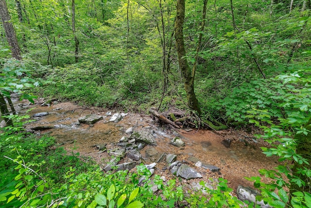 3975 Dry Creek Rd, Dowelltown, TN 37059 - view of woods