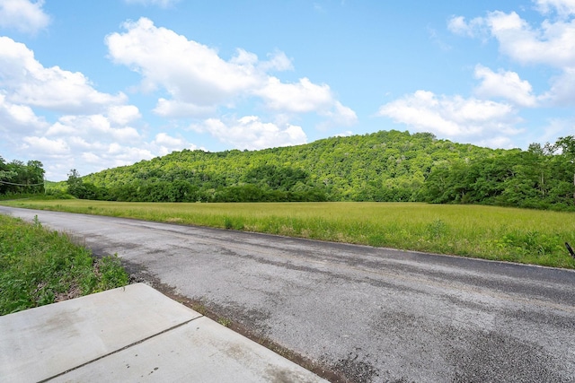 3975 Dry Creek Rd, Dowelltown, TN 37059 - view of asphalt street with a wooded view