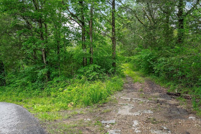 3975 Dry Creek Rd, Dowelltown, TN 37059 - view of woods