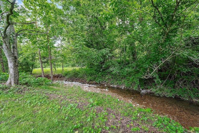 3975 Dry Creek Rd, Dowelltown, TN 37059 - view of yard