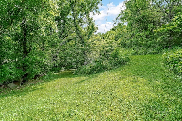 3975 Dry Creek Rd, Dowelltown, TN 37059 - view of green lawn