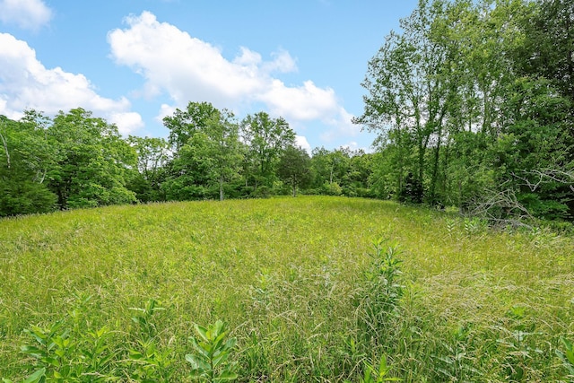 3975 Dry Creek Rd, Dowelltown, TN 37059 - view of woods