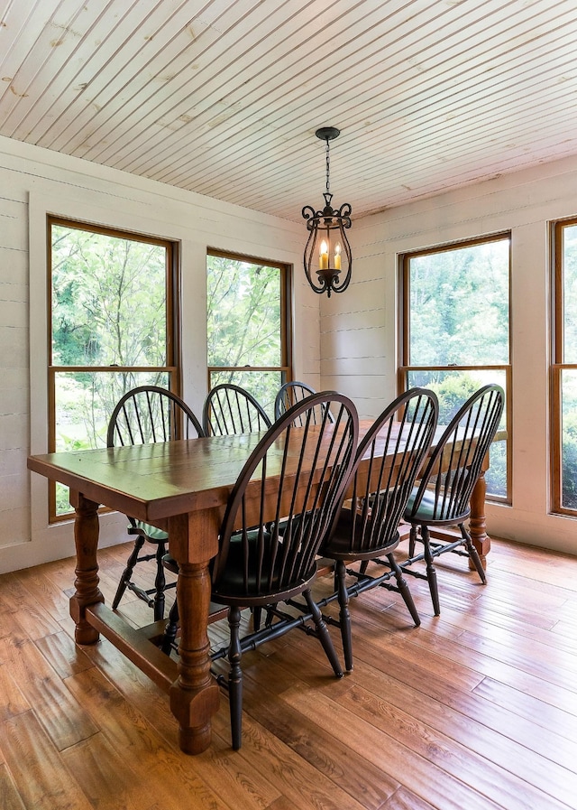 3975 Dry Creek Rd, Dowelltown, TN 37059 - dining room featuring plenty of natural light, light wood-style floors, and wooden ceiling