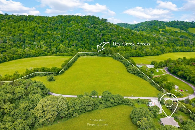 3975 Dry Creek Rd, Dowelltown, TN 37059 - aerial overview of property's location featuring a forest and property parcel outlined