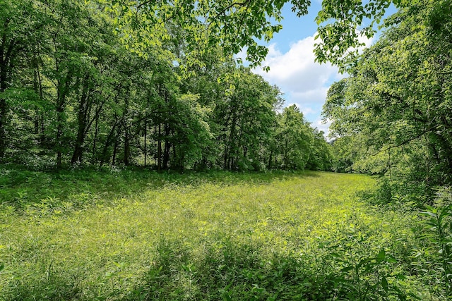 3975 Dry Creek Rd, Dowelltown, TN 37059 - view of woods