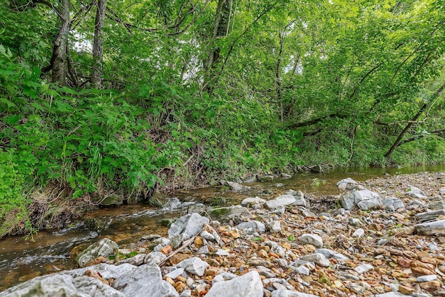 3975 Dry Creek Rd, Dowelltown, TN 37059 - view of tree filled area