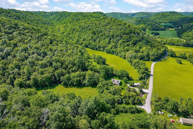 3975 Dry Creek Rd, Dowelltown, TN 37059 - bird's eye view of a heavily wooded area