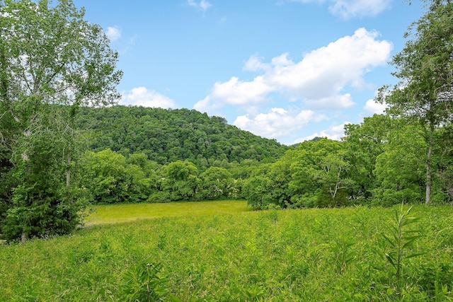 3975 Dry Creek Rd, Dowelltown, TN 37059 - view of mountain background featuring a forest