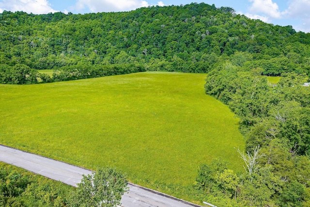 3975 Dry Creek Rd, Dowelltown, TN 37059 - bird's eye view of a forest