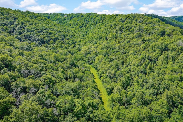 3975 Dry Creek Rd, Dowelltown, TN 37059 - aerial view of a forest