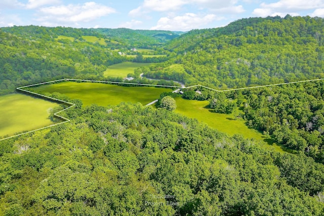 3975 Dry Creek Rd, Dowelltown, TN 37059 - aerial view of property's location with a heavily wooded area and property boundaries highlighted