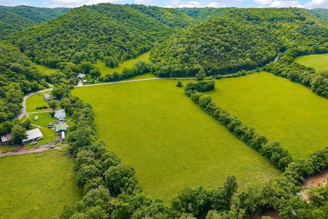 3975 Dry Creek Rd, Dowelltown, TN 37059 - view of rural area featuring a forest