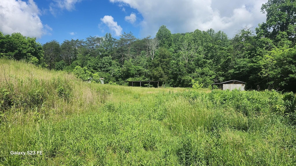 1935 Fairview Rd, Tellico Plains, TN 37385 - view of wooded area