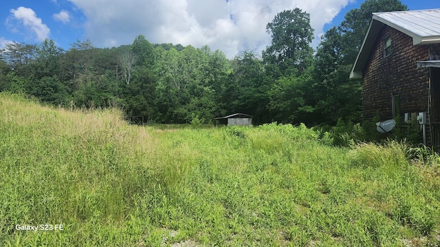 1935 Fairview Rd, Tellico Plains, TN 37385 - view of yard with a wooded view