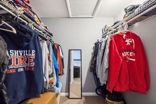 210 Old Hickory Blvd Unit 42, Nashville, TN 37221 - walk in closet featuring attic access and carpet floors