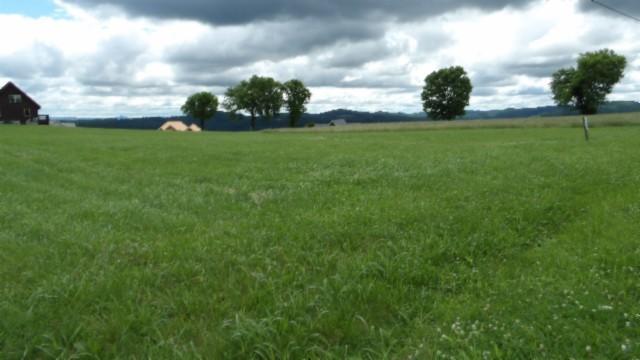 2 A Swan Ridge Rd, Hilham, TN 38568