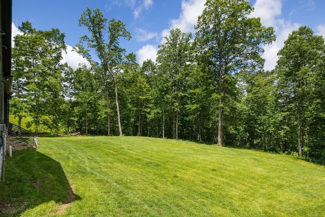 5024 Cobbler Ridge Rd, Franklin, TN 37064 - photo 50