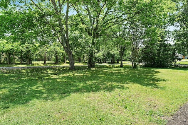 1725 Roger Ave Unit A, Nashville, TN 37207 - photo 39