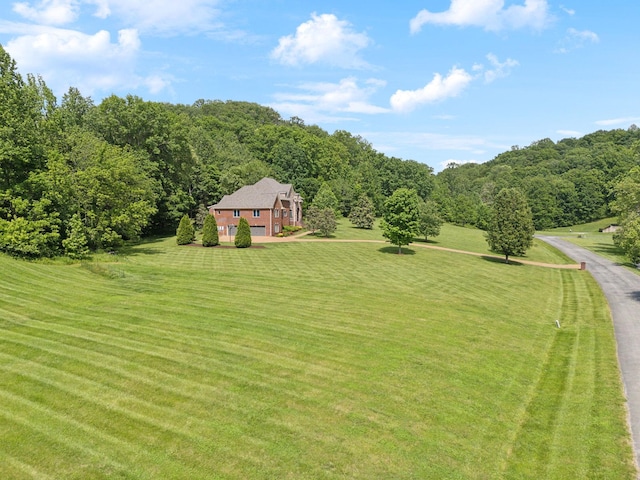 1075 Natchez Valley Ln, Franklin, TN 37064 - photo 61