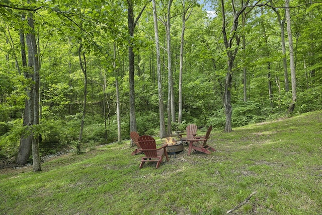 1075 Natchez Valley Ln, Franklin, TN 37064 - photo 50
