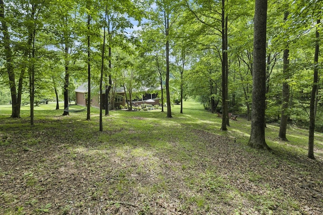 1075 Natchez Valley Ln, Franklin, TN 37064 - photo 51