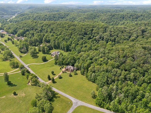 1075 Natchez Valley Ln, Franklin, TN 37064 - photo 64