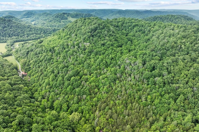 333 Cubbins Hollow Rd, Dowelltown, TN 37059 - bird's eye view of a forest and a mountain backdrop