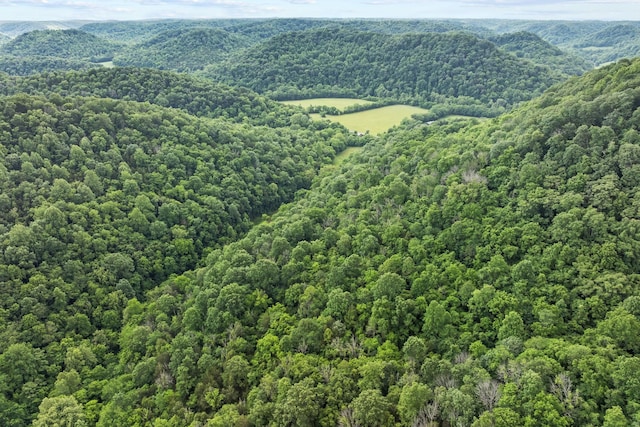 333 Cubbins Hollow Rd, Dowelltown, TN 37059 - drone / aerial view of a heavily wooded area