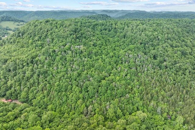 333 Cubbins Hollow Rd, Dowelltown, TN 37059 - aerial view of property and surrounding area featuring a heavily wooded area and a mountain backdrop