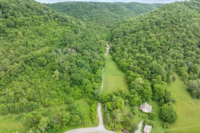 333 Cubbins Hollow Rd, Dowelltown, TN 37059 - bird's eye view of a forest