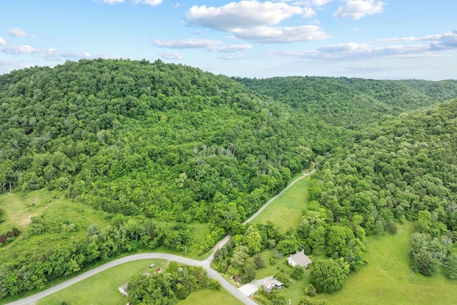 333 Cubbins Hollow Rd, Dowelltown, TN 37059 - aerial view of property's location with a forest