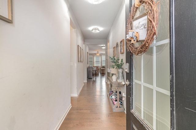 6531 Tulip Tree Dr, Murfreesboro, TN 37128 - corridor with hardwood / wood-style flooring and baseboards