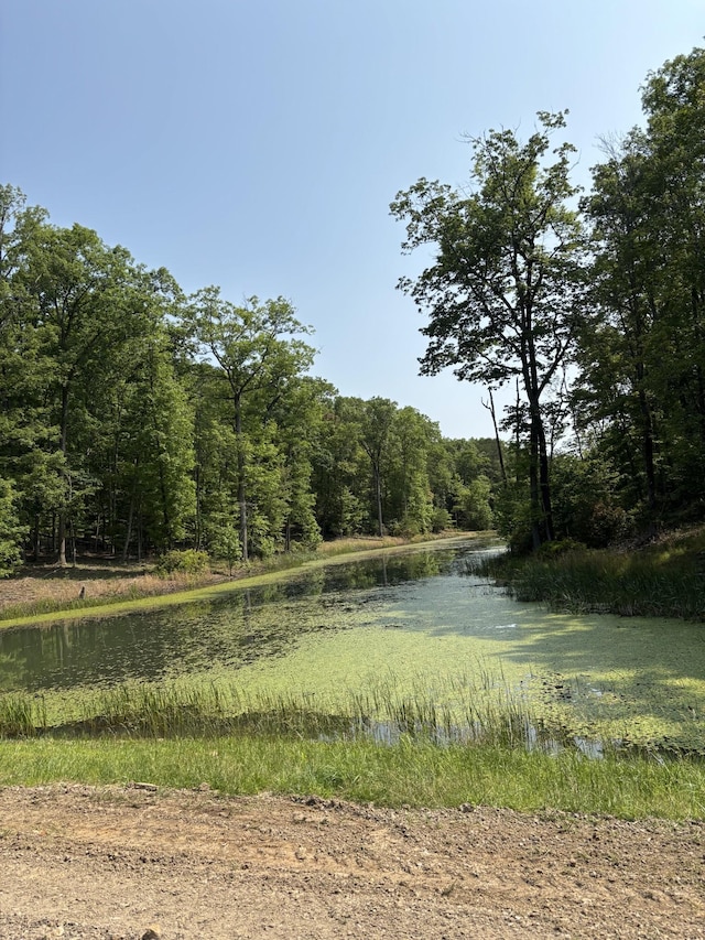 2420 Eagle Rock Rd, Monteagle, TN 37356 - view of tree filled area with a water view