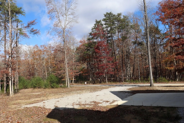2420 Eagle Rock Rd, Monteagle, TN 37356 - view of yard with a forest view