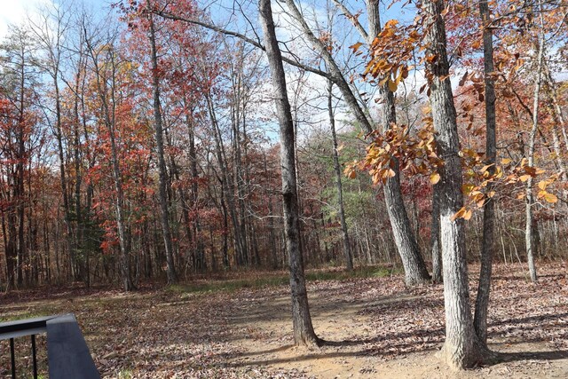 2420 Eagle Rock Rd, Monteagle, TN 37356 - view of yard featuring a view of trees