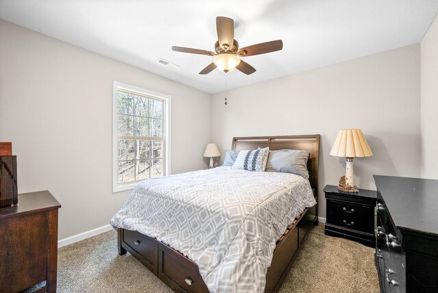 395 Barry Dr, Clarksville, TN 37040 - photo 24
