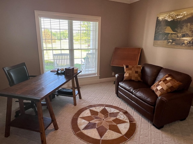 6464 Lebanon Rd, Murfreesboro, TN 37129 - office featuring baseboards