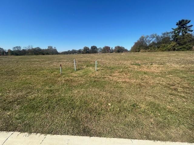 100 Walden Way, Gallatin, TN 37066 - view of yard featuring a rural view