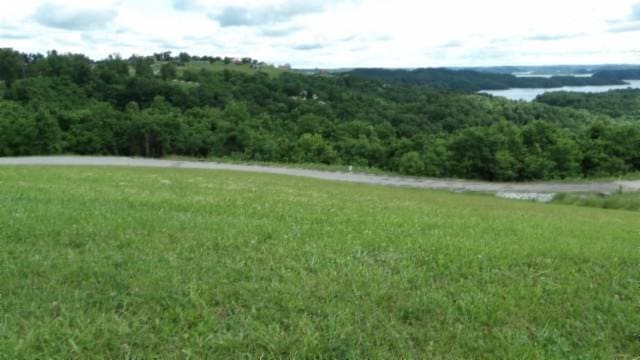 40 C Swan Ridge Rd, Hilham, TN 38568