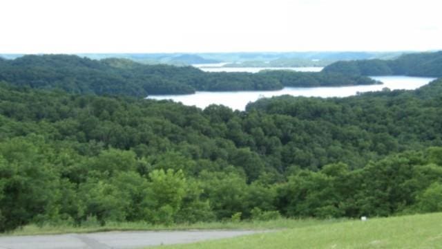 40 C Swan Ridge Rd, Hilham, TN 38568