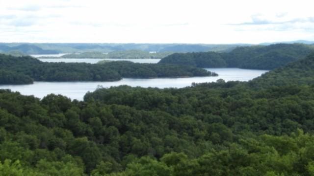 40 C Swan Ridge Rd, Hilham, TN 38568