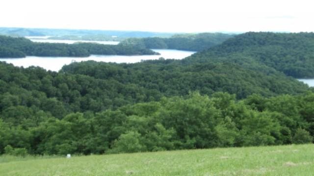 40 C Swan Ridge Rd, Hilham, TN 38568