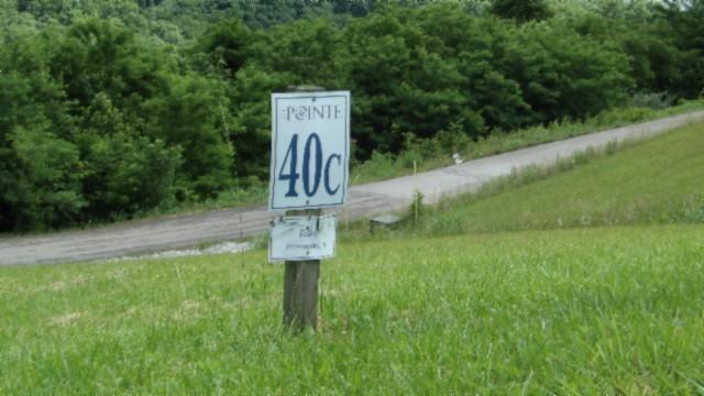 40 C Swan Ridge Rd, Hilham, TN 38568