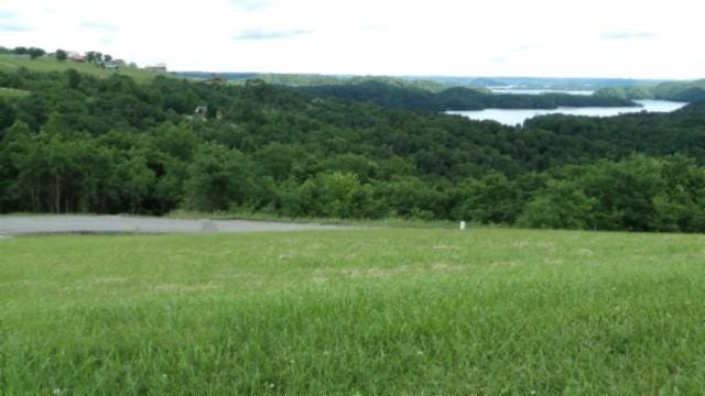 40 C Swan Ridge Rd, Hilham, TN 38568