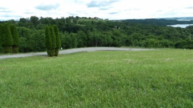 40 C Swan Ridge Rd, Hilham, TN 38568