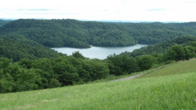 40 C Swan Ridge Rd, Hilham, TN 38568
