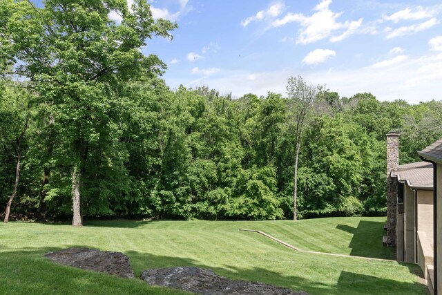 399 The Lady Of The Lake Ln, Franklin, TN 37067 - photo 58