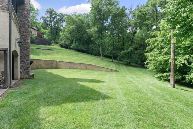 399 The Lady Of The Lake Ln, Franklin, TN 37067 - photo 60